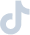 Tiktok Logo